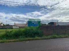 Terreno / Lote / Condomínio com 1 Quarto para alugar, 1600m² no Brasil, Uberlândia - Foto 7