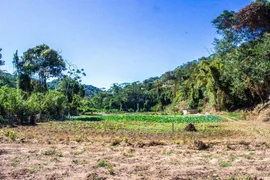 Terreno / Lote / Condomínio à venda, 2335m² no Granja Mafra, Teresópolis - Foto 2