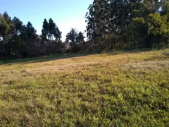 Terreno / Lote / Condomínio à venda, 7050m² no Santa Luzia, Tijucas - Foto 4