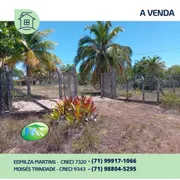 Fazenda / Sítio / Chácara com 2 Quartos à venda, 32000m² no Arembepe, Camaçari - Foto 4