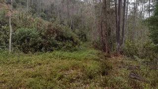 Fazenda / Sítio / Chácara à venda, 20000m² no Zona Rural, Virgínia - Foto 4