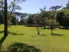 Terreno / Lote / Condomínio à venda, 3000m² no , Canela - Foto 1