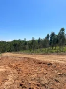 Terreno / Lote / Condomínio à venda, 1000m² no Centro, Guararema - Foto 8