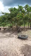 Fazenda / Sítio / Chácara com 3 Quartos à venda, 20m² no Zona Rural , Chapada dos Guimarães - Foto 9