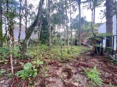 Terreno / Lote / Condomínio à venda, 540m² no Planalto, Gramado - Foto 2