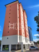 Apartamento com 2 Quartos à venda, 49m² no Centro, Portão - Foto 1