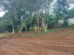Terreno / Lote / Condomínio à venda, 1045m² no Chácaras Ceres, Suzano - Foto 7