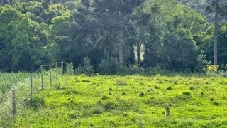 Fazenda / Sítio / Chácara com 3 Quartos à venda, 30000m² no Centro, Leoberto Leal - Foto 21