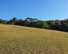 Fazenda / Sítio / Chácara à venda, 96000m² no Dom Joaquim, Brusque - Foto 2