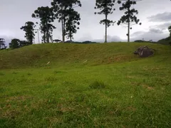 Fazenda / Sítio / Chácara à venda, 24000m² no Visconde de Mauá, Resende - Foto 8