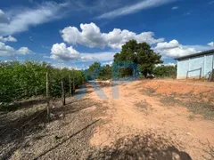 Fazenda / Sítio / Chácara com 2 Quartos à venda, 1500m² no Zona Rural, Carmo do Cajuru - Foto 20