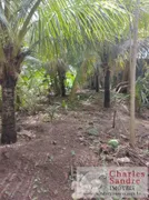 Fazenda / Sítio / Chácara com 4 Quartos à venda, 5000m² no Zona Rural, Indiara - Foto 16