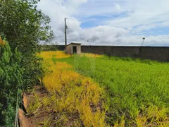 Fazenda / Sítio / Chácara com 3 Quartos para alugar, 6000m² no Area Rural de Uberlandia, Uberlândia - Foto 45