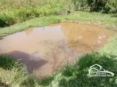 Fazenda / Sítio / Chácara com 6 Quartos à venda, 22m² no , Cachoeira Paulista - Foto 26