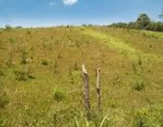 Fazenda / Sítio / Chácara à venda, 60000m² no Zona Rural, Bocaiúva do Sul - Foto 5