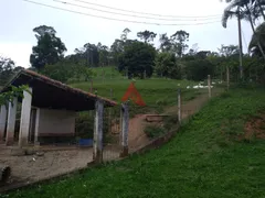 Fazenda / Sítio / Chácara com 3 Quartos à venda, 130m² no Bairro do Cedro, Paraibuna - Foto 8