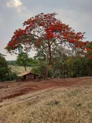 Fazenda / Sítio / Chácara com 3 Quartos à venda, 67200m² no Zona Rural, Petrolina de Goiás - Foto 18