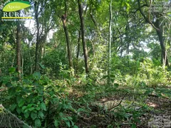 Fazenda / Sítio / Chácara com 2 Quartos à venda, 20000m² no Zona Rural, Bela Vista de Goiás - Foto 33