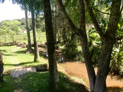 Fazenda / Sítio / Chácara com 6 Quartos à venda, 1200m² no Marmelos, Mairiporã - Foto 3