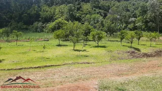 Fazenda / Sítio / Chácara com 3 Quartos à venda, 100m² no Pinhal Alto, Nova Petrópolis - Foto 13