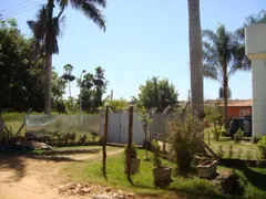 Fazenda / Sítio / Chácara com 4 Quartos à venda, 5972m² no Centro Engenheiro Schmitt, São José do Rio Preto - Foto 36