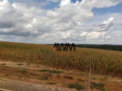 Fazenda / Sítio / Chácara à venda, 160000000m² no , Fortuna - Foto 19