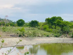 Fazenda / Sítio / Chácara com 4 Quartos à venda, 144000m² no Zona Rural, Faina - Foto 21