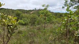 Fazenda / Sítio / Chácara à venda, 20000m² no Zona Rural, Corumbá de Goiás - Foto 3