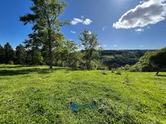 Fazenda / Sítio / Chácara com 1 Quarto à venda, 20000m² no São Victor Cohab, Caxias do Sul - Foto 20