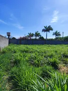 Fazenda / Sítio / Chácara com 4 Quartos à venda, 130m² no Zona Rural, São José de Mipibu - Foto 23