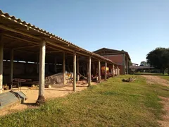 Fazenda / Sítio / Chácara com 3 Quartos à venda, 200m² no Centro, Viamão - Foto 15