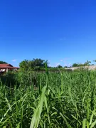 Fazenda / Sítio / Chácara com 4 Quartos à venda, 130m² no Zona Rural, São José de Mipibu - Foto 18