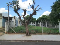 Terreno / Lote Comercial para alugar, 125m² no Jardim Fuscaldo, São José do Rio Preto - Foto 4