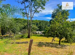 Fazenda / Sítio / Chácara com 2 Quartos à venda, 96800m² no Zona Rural, Caldazinha - Foto 18