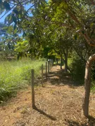 Fazenda / Sítio / Chácara com 2 Quartos à venda, 85m² no Area Rural de Ceilandia, Brasília - Foto 15