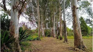 Terreno / Lote Comercial à venda, 72600m² no Centro, Aracoiaba da Serra - Foto 1