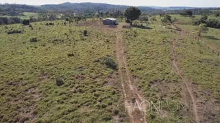 Fazenda / Sítio / Chácara com 8 Quartos à venda, 4300000m² no Centro, Pimenta Bueno - Foto 4