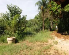 Fazenda / Sítio / Chácara com 2 Quartos à venda, 5000m² no Bairro da Germana, Caçapava - Foto 8