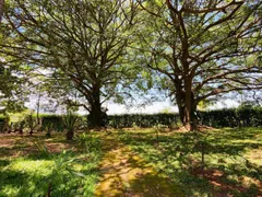 Fazenda / Sítio / Chácara com 4 Quartos à venda, 443m² no Nossa Senhora da Paz, São Joaquim de Bicas - Foto 62