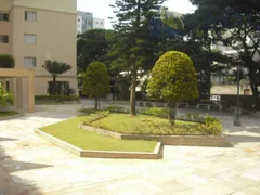 Apartamento com 3 Quartos à venda, 114m² no Jardim Aeroporto, São Paulo - Foto 54