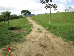 Fazenda / Sítio / Chácara com 4 Quartos à venda, 183000m² no Zona Rural, Rio Bonito - Foto 32