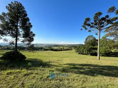 Fazenda / Sítio / Chácara à venda, 80m² no Vila Seca, Caxias do Sul - Foto 4