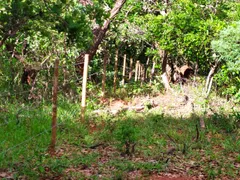 Terreno / Lote / Condomínio à venda, 20000m² no Serra do Cipó, Santana do Riacho - Foto 7