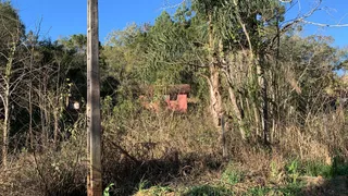 Fazenda / Sítio / Chácara com 1 Quarto à venda, 10890m² no Zona Rural, Mandirituba - Foto 11