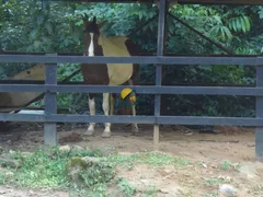 Fazenda / Sítio / Chácara com 3 Quartos à venda, 400m² no Conceição de Jacareí, Mangaratiba - Foto 28