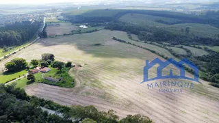 Fazenda / Sítio / Chácara com 4 Quartos à venda, 246400m² no Zona Rural, Pilar do Sul - Foto 10