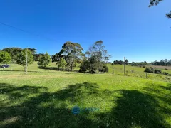 Fazenda / Sítio / Chácara à venda, 80m² no Vila Seca, Caxias do Sul - Foto 2