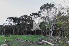 Fazenda / Sítio / Chácara com 2 Quartos à venda, 16680m² no Chacrinha Nossa Senhora do Rocio, Campo Largo - Foto 16