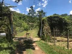 Fazenda / Sítio / Chácara com 6 Quartos à venda, 1200m² no Marmelos, Mairiporã - Foto 6