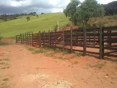 Fazenda / Sítio / Chácara com 4 Quartos à venda, 224m² no Centro, São Luiz do Paraitinga - Foto 6